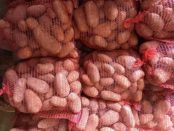 vastkokende aardappelen, Zakelijke goederen, Landbouw | Aardappelen, Groenten, Fruit en Vlees, Ophalen