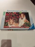 Puzzel Ravensburger 1500 stuks Ricky en Randy, Ophalen, Zo goed als nieuw