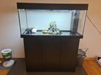 Aquarium Juwel Rio 240, Animaux & Accessoires