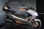 Honda Forza 300 avec top case et garantie, 300 cm³, Scooter, Entreprise, 12 à 35 kW