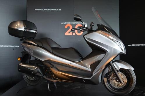 Honda Forza 300 avec top case et garantie, Motos, Motos | Honda, Entreprise, Scooter, 12 à 35 kW, 1 cylindre, Enlèvement