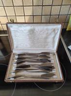 12 vismessen van Declerck, Huis en Inrichting, Keuken | Bestek, Ophalen of Verzenden, Zo goed als nieuw, Bestekset, Inox of Chroom