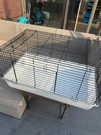 Knaagdierenkooi cavia/konijn, Dieren en Toebehoren, Knaagdieren en Konijnen | Hokken en Kooien, Ophalen, Zo goed als nieuw, Kooi
