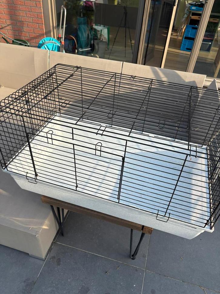 Knaagdierenkooi cavia/konijn, Dieren en Toebehoren, Knaagdieren en Konijnen | Hokken en Kooien, Zo goed als nieuw, Kooi, Cavia