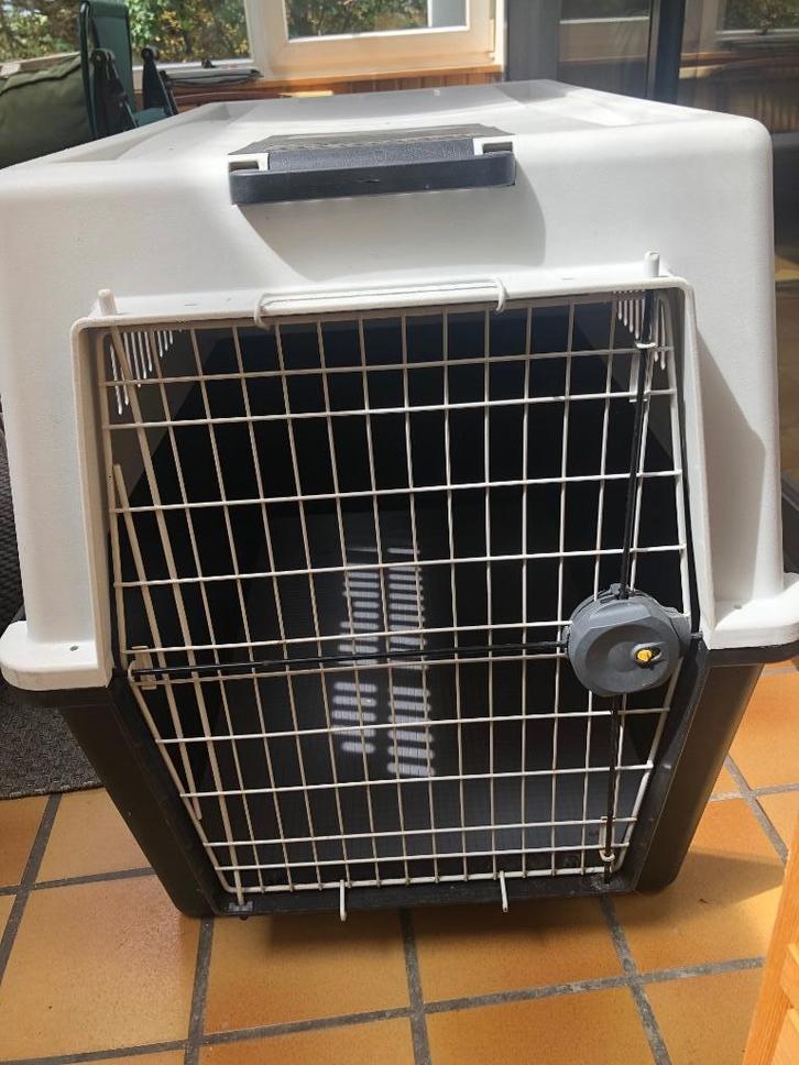 Cage de transport Ferplast Chien >25kg, Dieren en Toebehoren, Overige Dieren-accessoires, Gebruikt, Ophalen