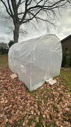 tunnelserre - wit - aveve / 200x300 cm, Ophalen, Gebruikt, Folie, Kweekkas