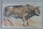 ALFONS VAN MEIRVENNE / STIER / OLIEVERF PAPIER / 52x70cm KAD, Ophalen of Verzenden