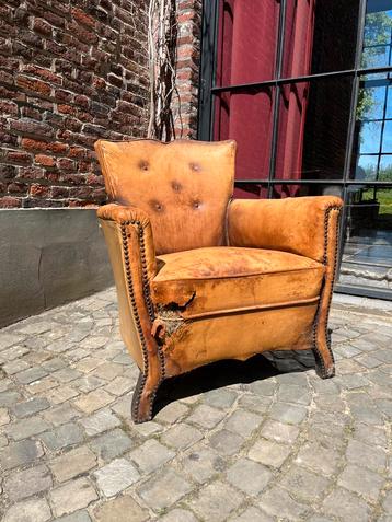 Charmant zeteltje beschikbaar voor biedingen