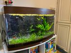 Juwel vision 180 heliulux, Dieren en Toebehoren, Ophalen, Gebruikt, Gevuld zoetwateraquarium