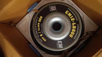 P.Audio EM12-LB600 breedbandpaar beschikbaar voor biedingen
