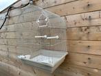 Vogelkooi Tweety, Dieren en Toebehoren, Ophalen of Verzenden, Nieuw, Vogelkooi