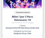 1 ticket disneyland parijs, Tickets en Kaartjes, Twee personen, Ticket of Toegangskaart