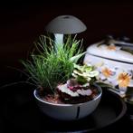 chichiros Tiny Terrarium Egg (lamp) Nieuw in verpakking, Ophalen