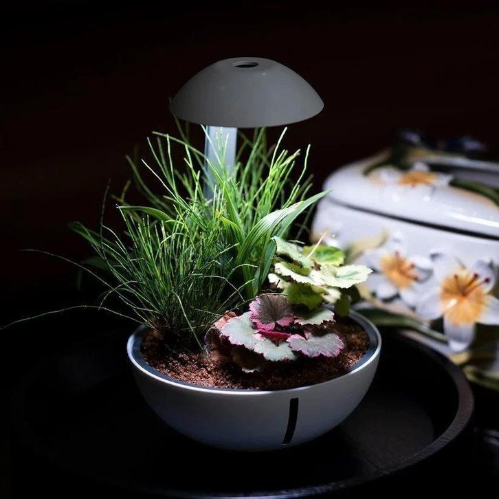 chichiros Tiny Terrarium Egg (lamp) Nieuw in verpakking, Huis en Inrichting, Kamerplanten, Ophalen