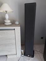 bns  evolution high end luidsprekers, Gebruikt, 120 watt of meer, Front, Rear of Stereo speakers, Ophalen