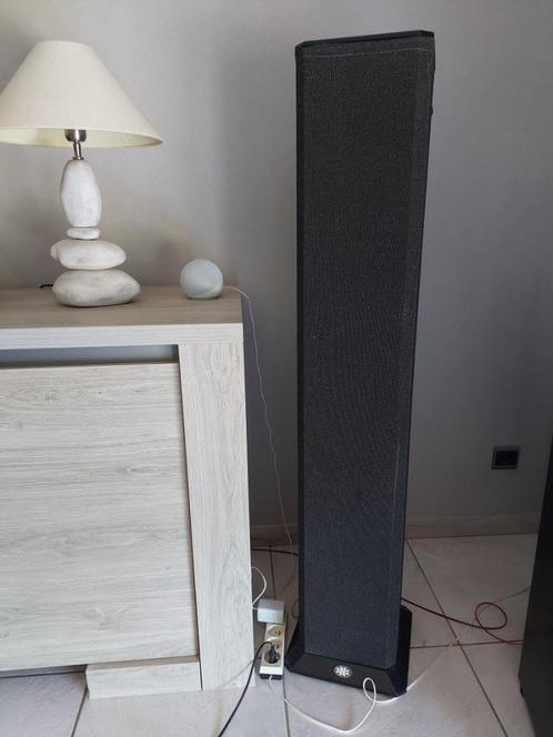 bns  evolution high end luidsprekers, Audio, Tv en Foto, Luidsprekerboxen, Gebruikt, Front, Rear of Stereo speakers, 120 watt of meer