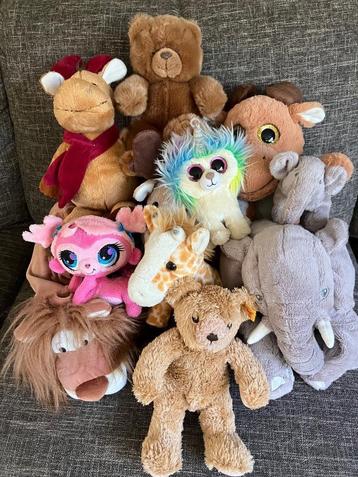 Pakket knuffels beschikbaar voor biedingen