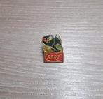 PIN - SERT - VIS - POISSON, Envoi, Utilisé, Autres sujets/thèmes, Insigne ou Pin's