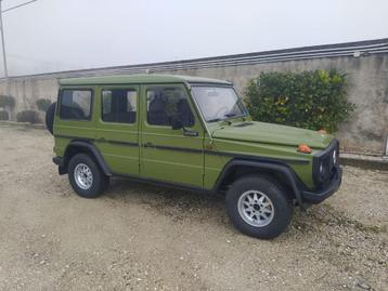 Gezocht oldtimer jeep Mercedes Nissan etc. beschikbaar voor biedingen