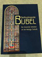 Geïllustreerde bijbel - prachtige staat, Boeken, Ophalen