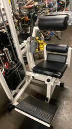 Lower back technogym isotonic line, Sport en Fitness, Ophalen of Verzenden, Zo goed als nieuw