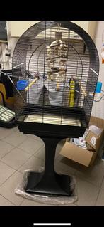 Grote vogelkooi op voet, Dieren en Toebehoren, Ophalen, Zo goed als nieuw, Vogelkooi