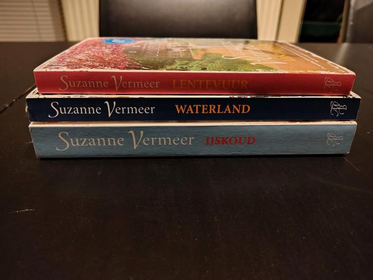 Boeken Suzanne Vermeer, Livres, Thrillers, Enlèvement
