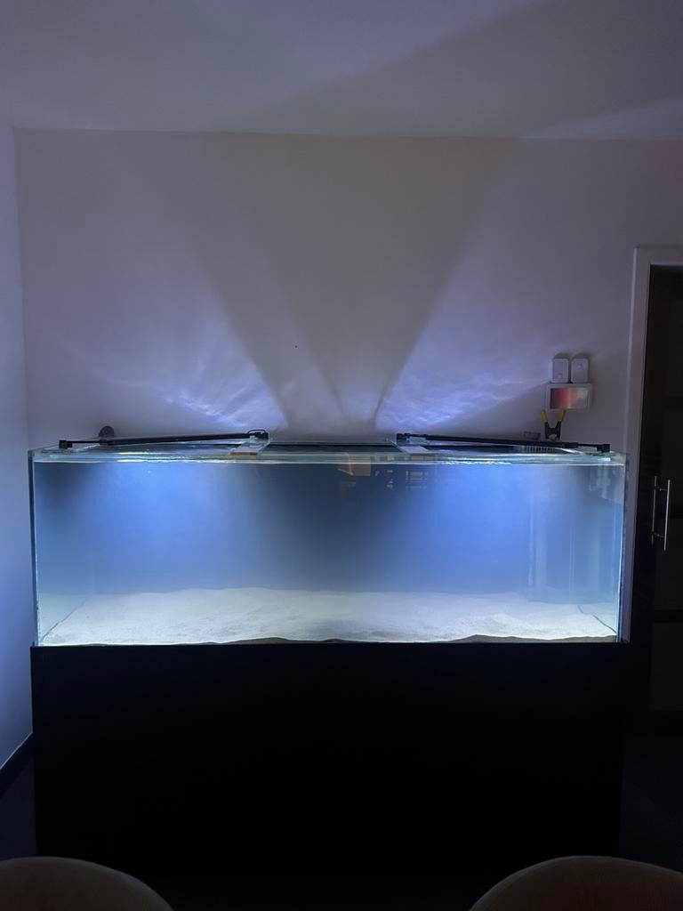Groot aquarium, Animaux & Accessoires, Poissons | Aquariums & Accessoires, Comme neuf, Filter, Enlèvement