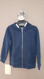Blauwe trui 134, Kinderen en Baby's, Kinderkleding | Maat 134, Ophalen of Verzenden, Zo goed als nieuw, Jongen, Trui of Vest