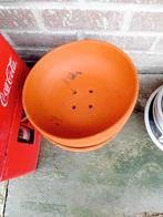 duiven broedschalen, Animaux & Accessoires, Sexe inconnu