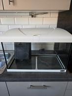 Aquarium 60l met filter, Ophalen