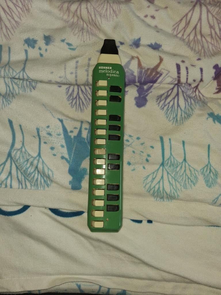 Fuit, Collections, Scoutisme, Enlèvement