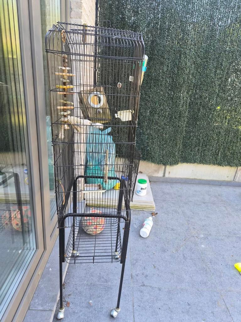 Grand cage à vendre