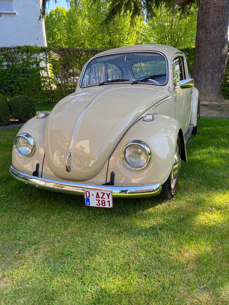 Kever, Auto's, Particulier, Te koop