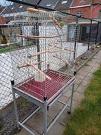 Grote Papegaai kooi, Ophalen, Zo goed als nieuw, Vogelkooi