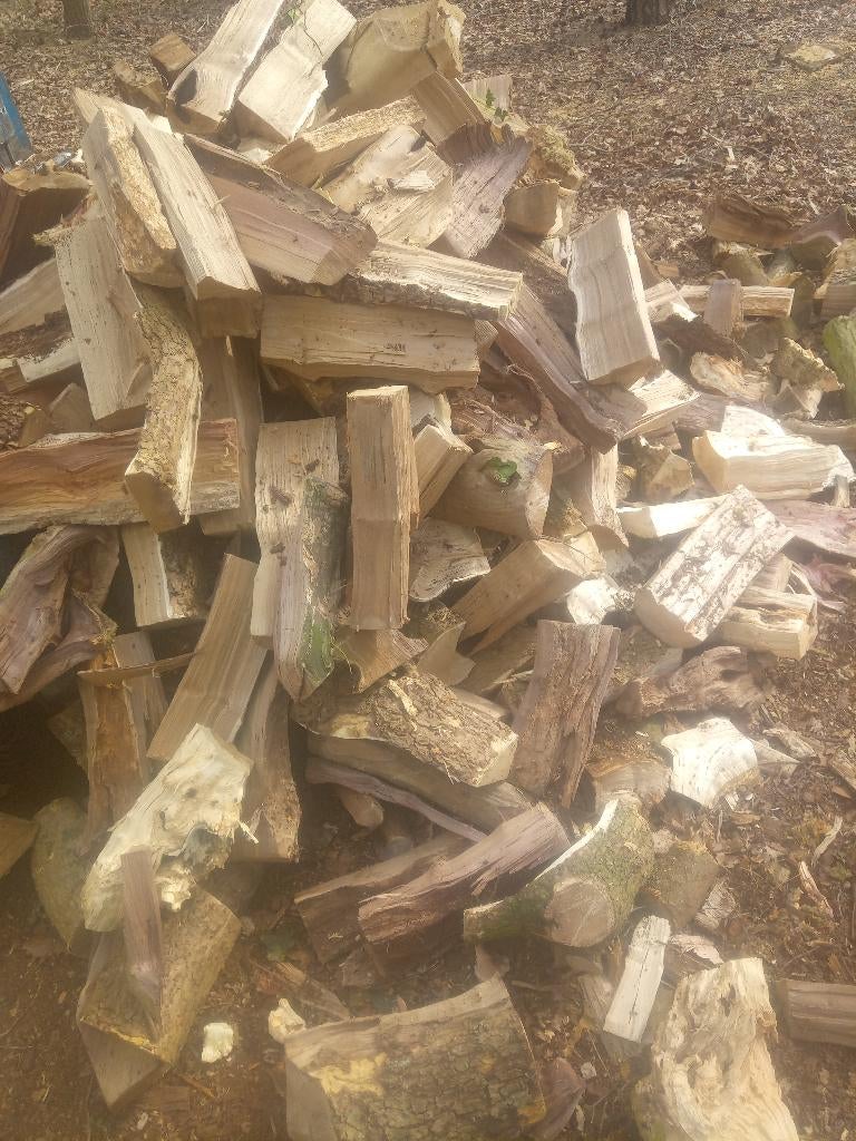 Brandhout, 6 m³ ou plus, Enlèvement ou Envoi, Autres essences de bois, Bûches