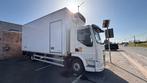 camion DAF LF 230 frigorifique, Automaat, Euro 6, Wit, Grijs