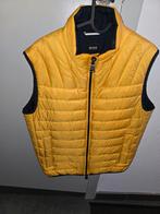 Body warmer Hugo boss, Kleding | Heren, Bodywarmers, Ophalen