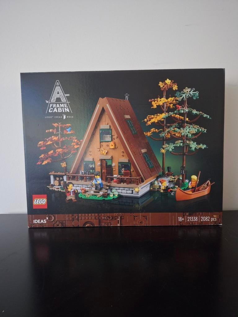 Lego 21338, Kinderen en Baby's, Speelgoed | Duplo en Lego, Ophalen of Verzenden, Lego