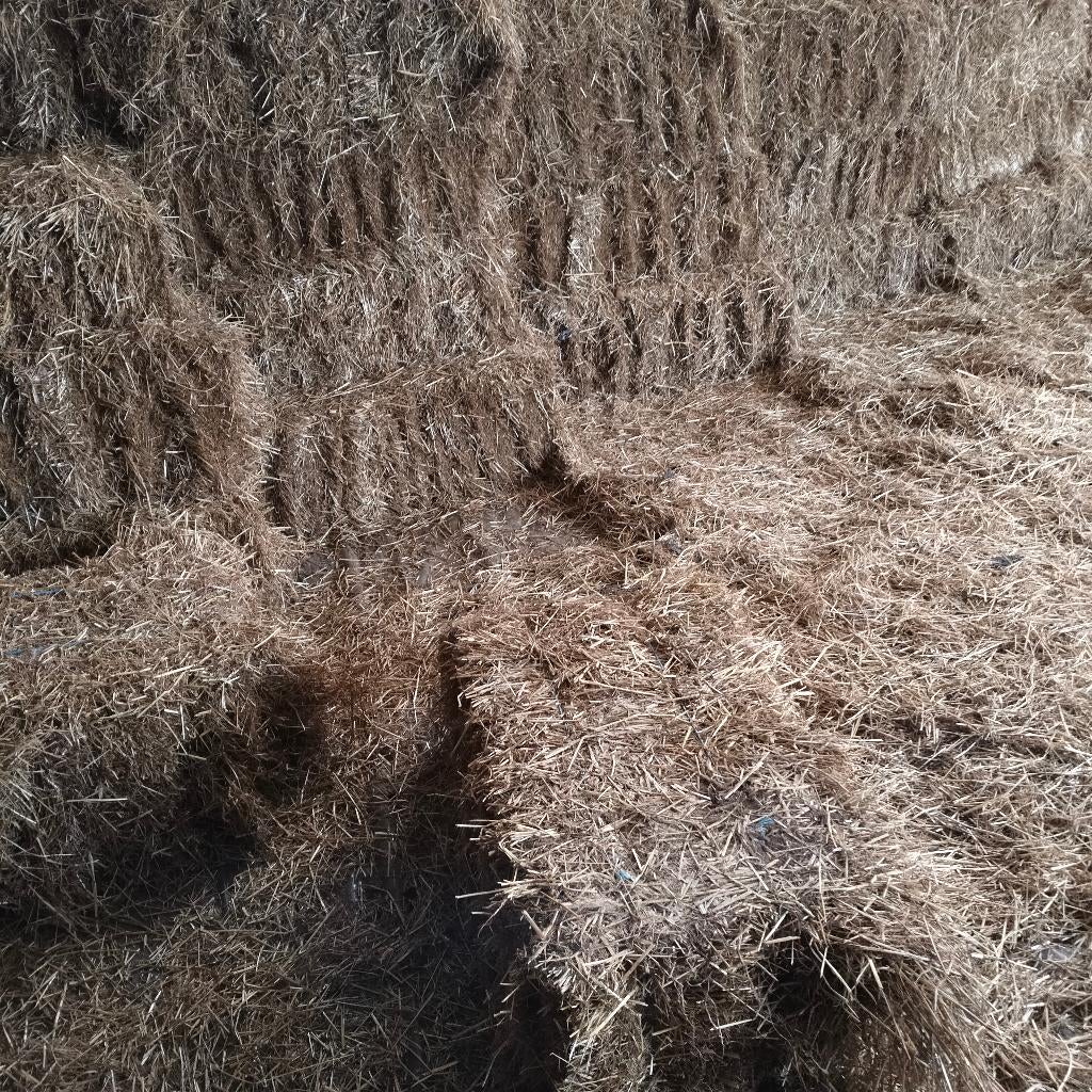 hooi kleine baaltje Italiaans raaigras, Ophalen, Vee