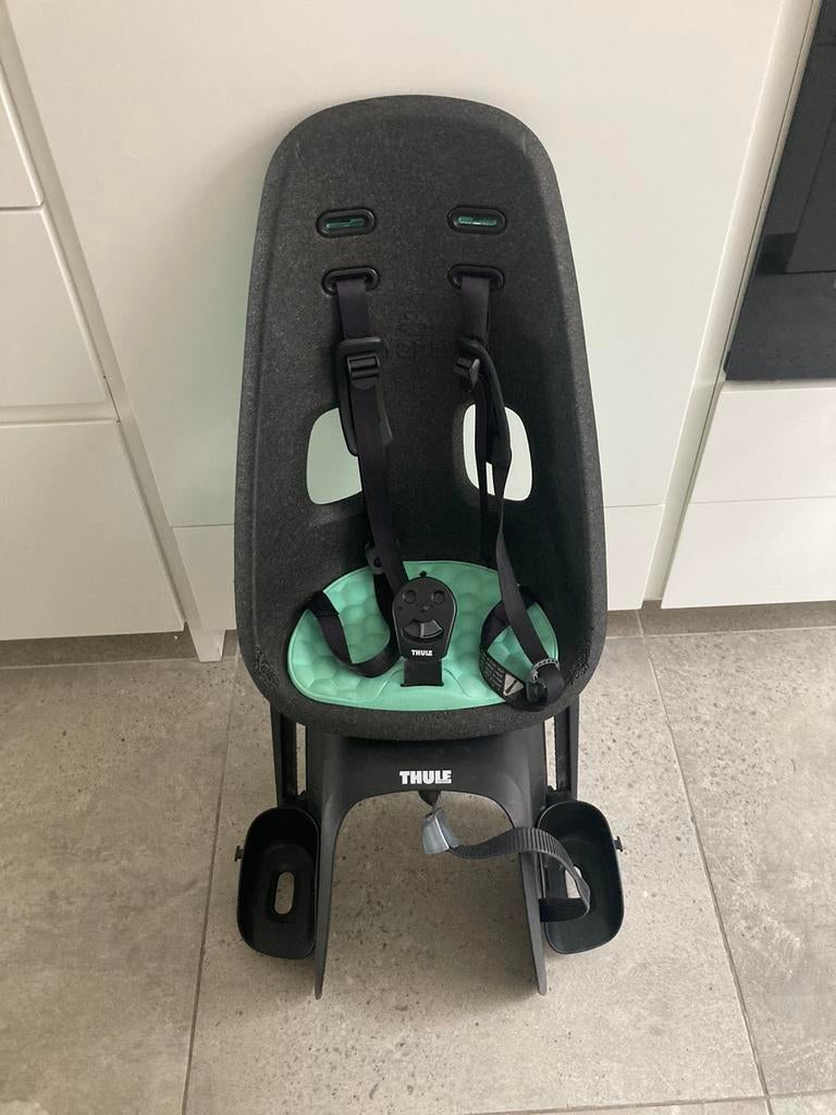 Thule Yepp Nexxt Maxi Rack Mount Mintgreen fietsstoel, Fietsen en Brommers, Fietsaccessoires | Fietsstoeltjes, Ophalen, Zo goed als nieuw