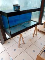 Aquarium, Animaux & Accessoires, Enlèvement