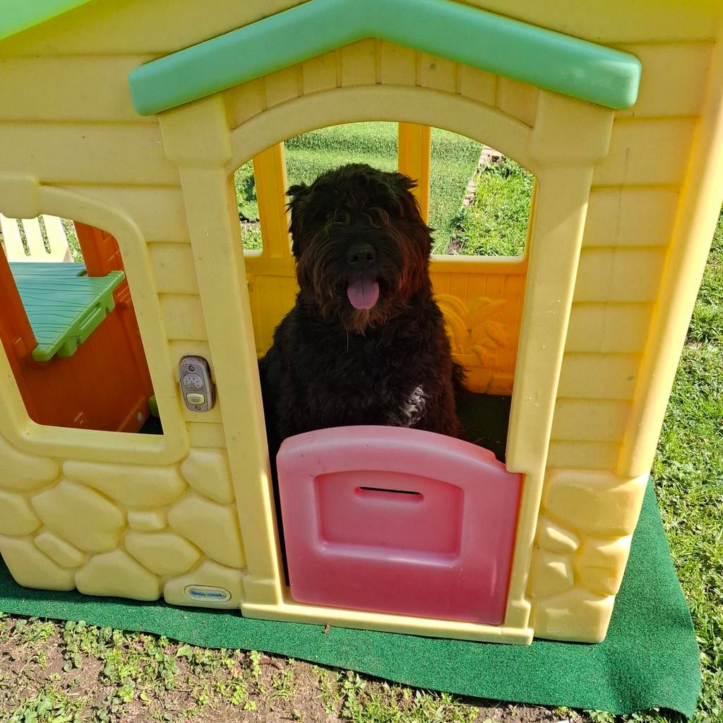 Speelhuisje Little tikes, Ophalen