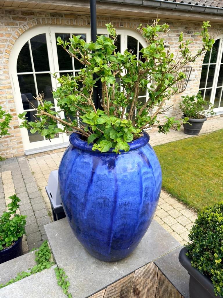 2 blauwe keramische bloempotten-grote sierpot + lage schaal, Ophalen, Zo goed als nieuw