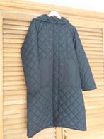 WINTERJAS MET KAP DAMES M42, Kleding | Dames, Jassen | Winter, Ophalen of Verzenden, Nieuw