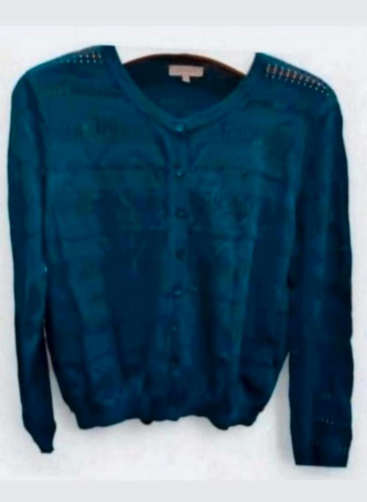 ✨️BEL&BO Gehaakt vest Maat L - Met BUNDELKORTING‼️✨️, Kleding | Dames, Truien en Vesten, Zo goed als nieuw, Maat 42/44 (L), Blauw