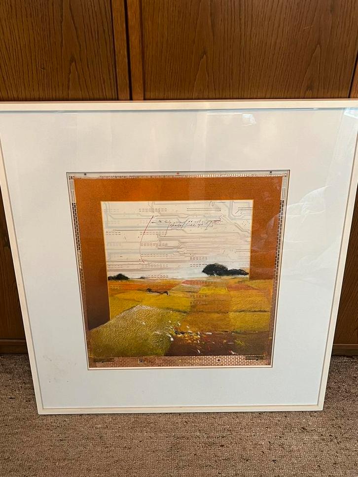 Kader kunst Martin Baeyens UNIEK WERK, Antiek en Kunst, Kunst | Litho's en Zeefdrukken, Ophalen