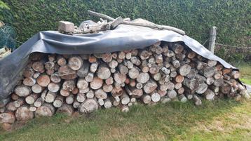 Gedroogd brandhout  beschikbaar voor biedingen