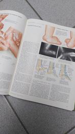 Netter anatomische atlas, Livres, Livres d'étude & Cours, Comme neuf, Enlèvement