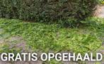 GRATIS OPGEHAALD 🌿 jouw fijn tuin snoeiafval en gras 🌿, Tuin en Terras, Ophalen of Verzenden